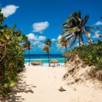 Best Christmas Holiday Destinations 2025 | Noori Travel Agency